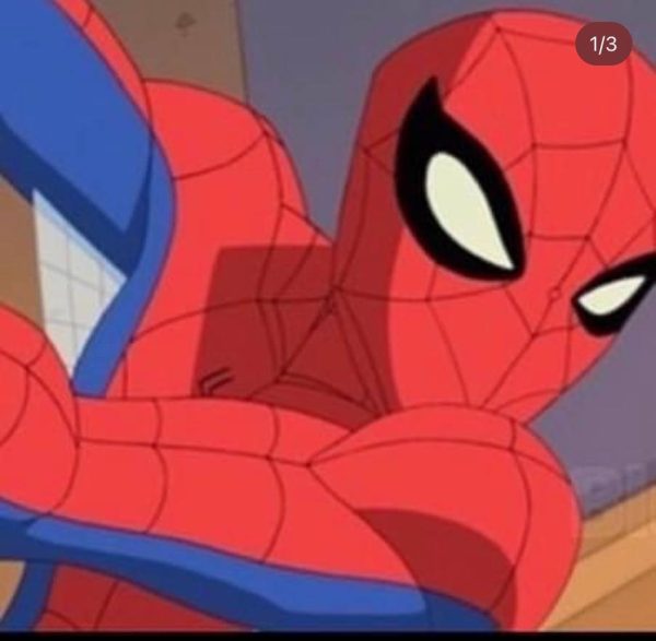 A cartoon image of Spider-Man